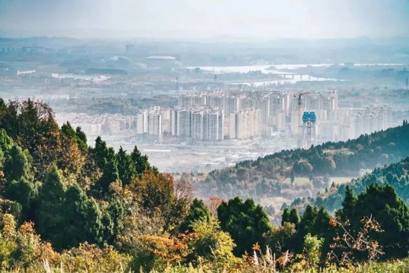 1730878156215804.jpg 图片