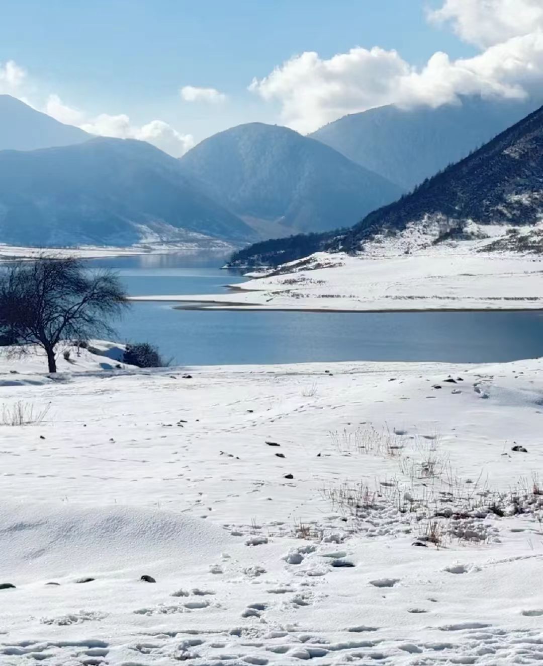 1764040745925540.jpg 1e795d9318f49b17478e87900aa6131.jpg