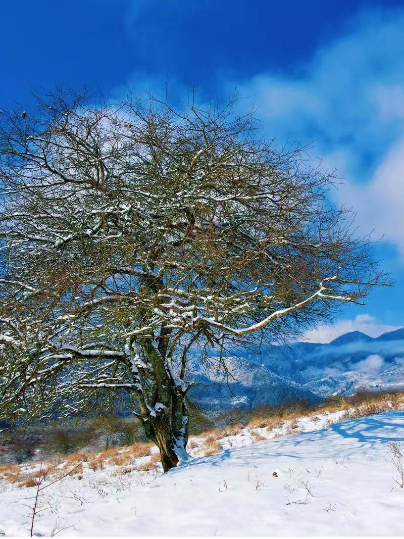 1764040765618818.jpg b2217cf3e7f96acece818be2d042b0b.jpg