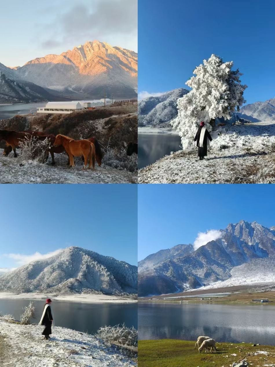 1764040775282776.jpg 7706b2903b67fa76a29e07c0ecafb6e.jpg