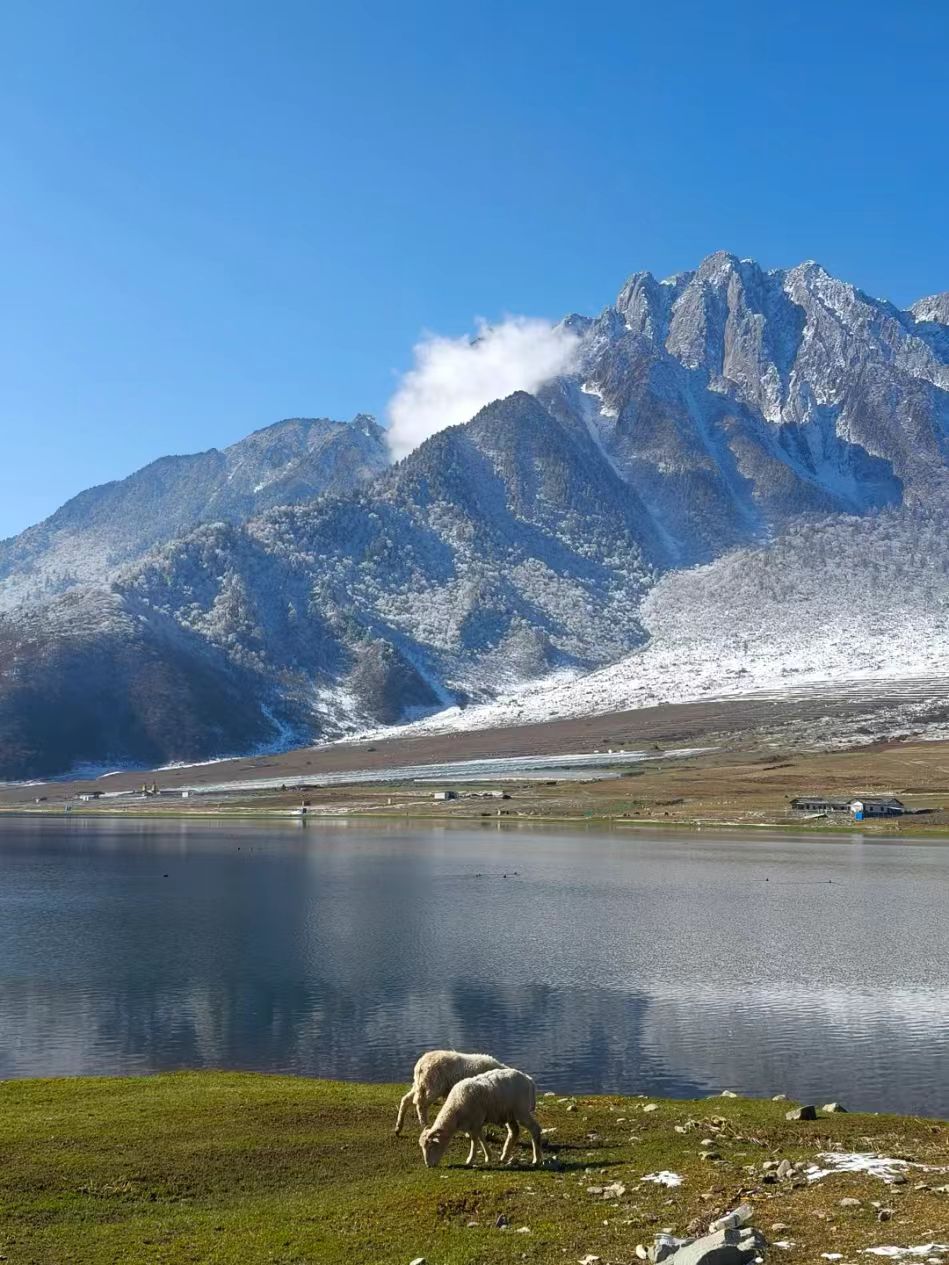 1764040799994290.jpg 3bab32c3e8076994efde538567203b1.jpg