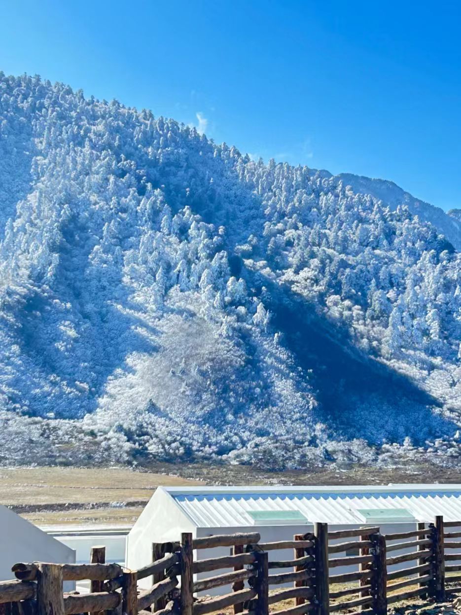 1764040816831327.jpg 24a965a121fcc54f7919e9e8ac2a85b.jpg