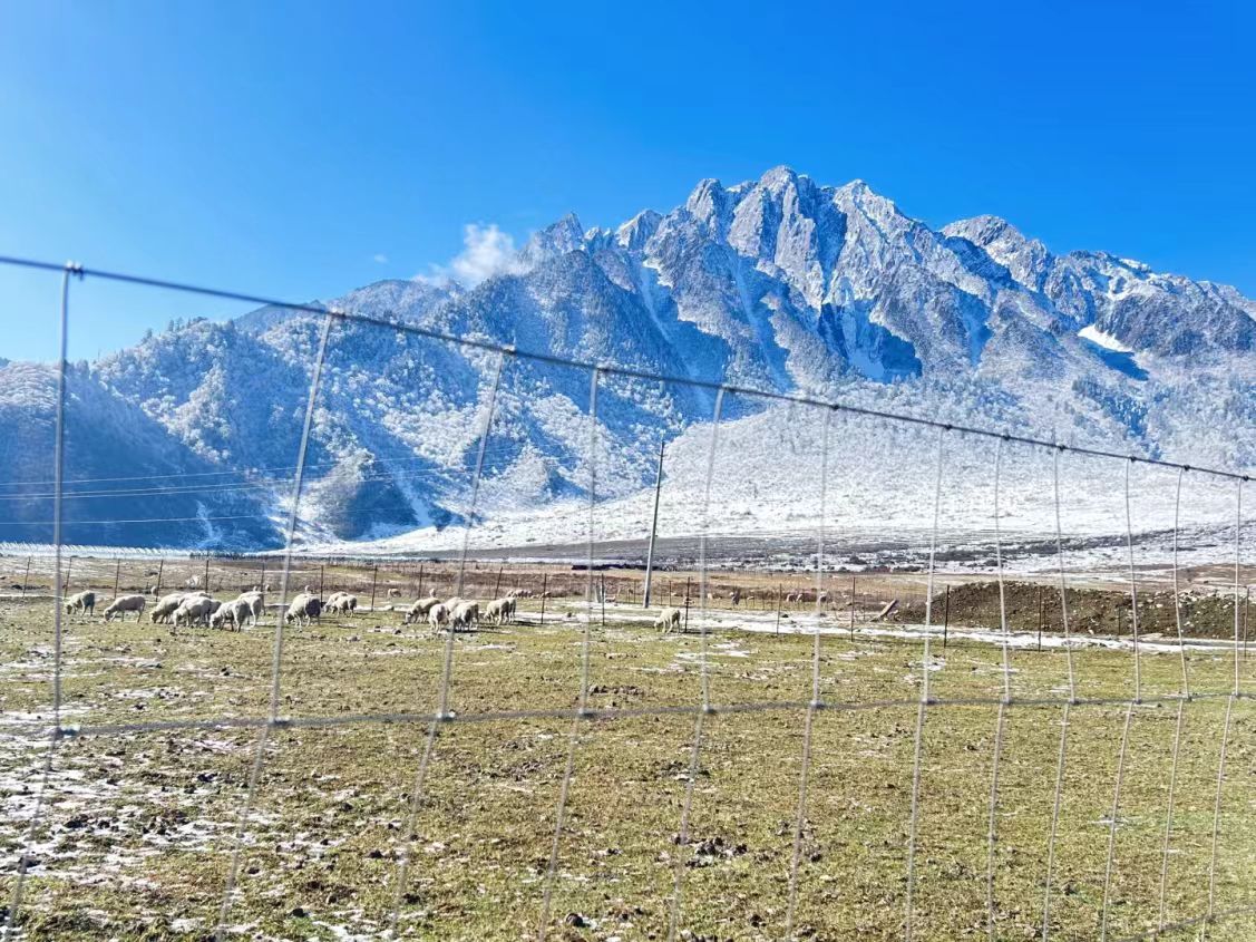 1764040840547490.jpg 5c4386ac3ef6906ab64ae6ccef795b2.jpg