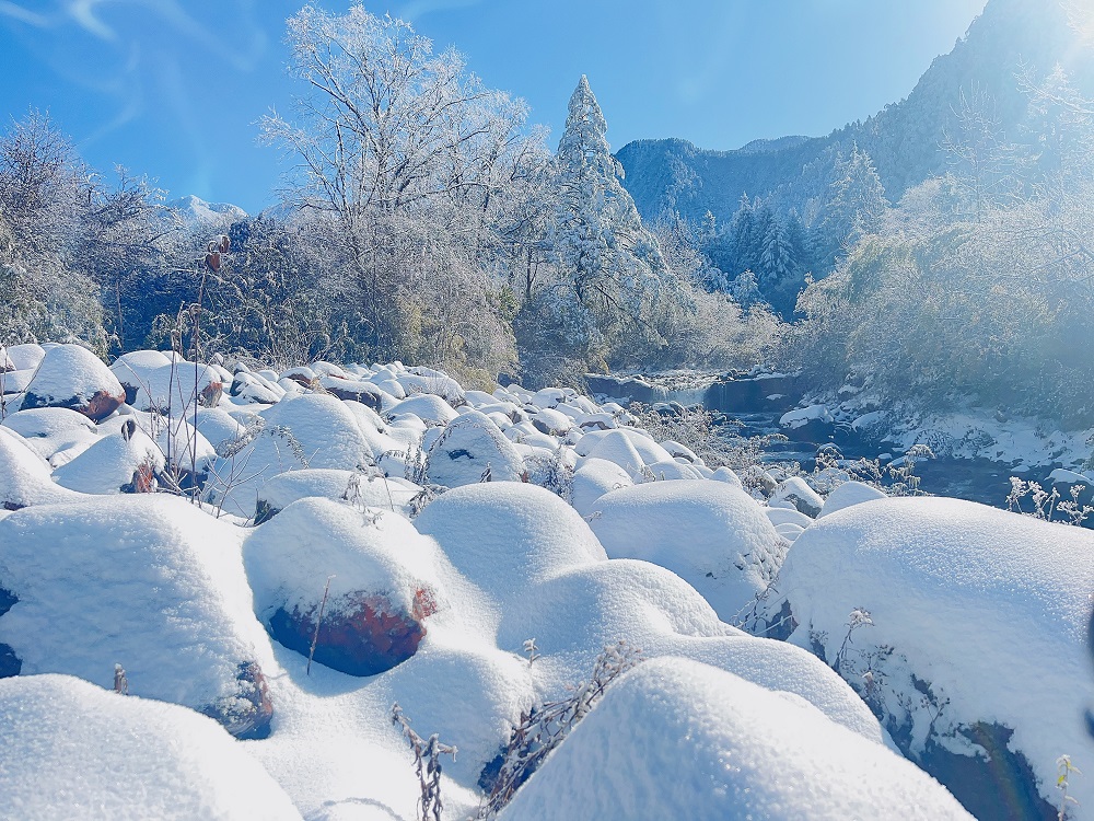 1764053661157282.jpg 微信图片_20251125145239.jpg