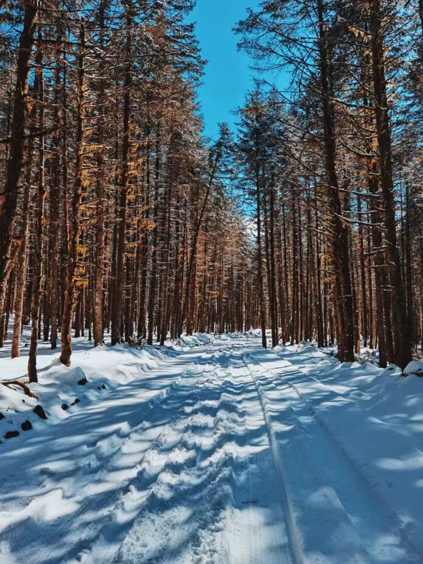 1764040867607107.jpg 4a56b27d9fbb2f7e4909699d23701ae.jpg