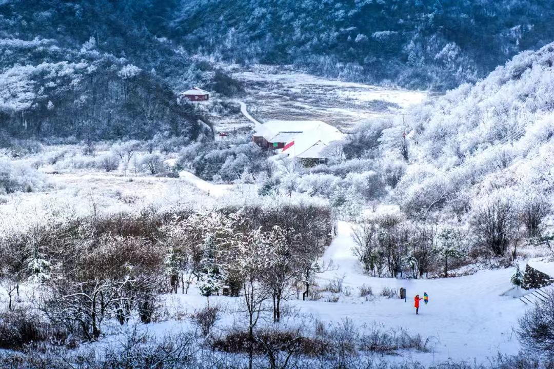 1764040886101653.jpg 91cd4b7823024a98f5fff5f200f4bdc.jpg