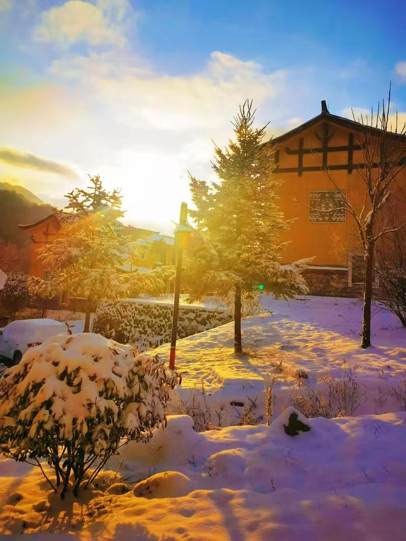 1764040896565086.jpg 0b69fec63606a8a331b8376857e3173.jpg