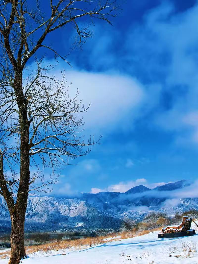 1764040905901673.jpg 04364871c77bbb6651cc56a8a7e9786.jpg