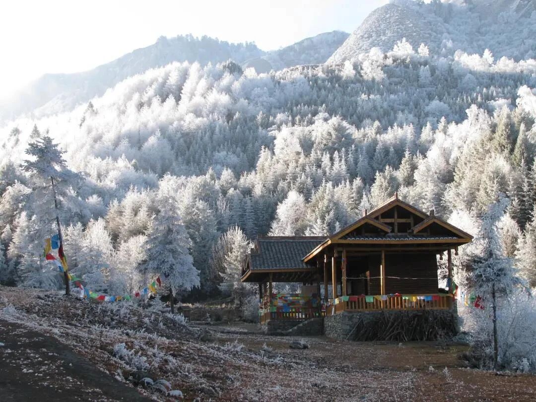 1763973185554984.jpg 微信图片_2025-11-24_162022_094.jpg