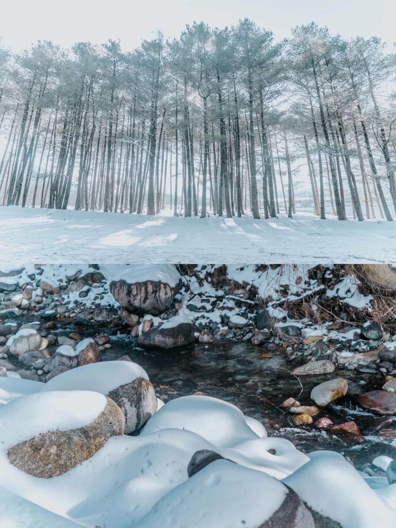 1763973205199841.jpg 微信图片_2025-11-24_162034_702.jpg