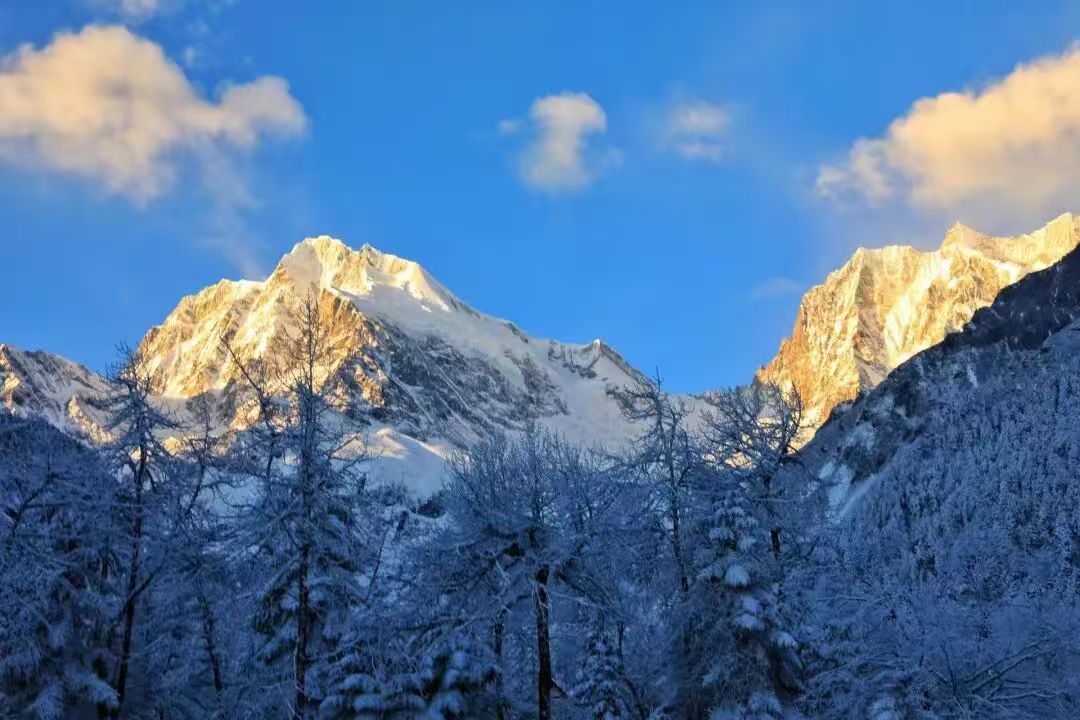 1763698386815412.jpg 93d1206af14cd72607ab9903e153f48.jpg