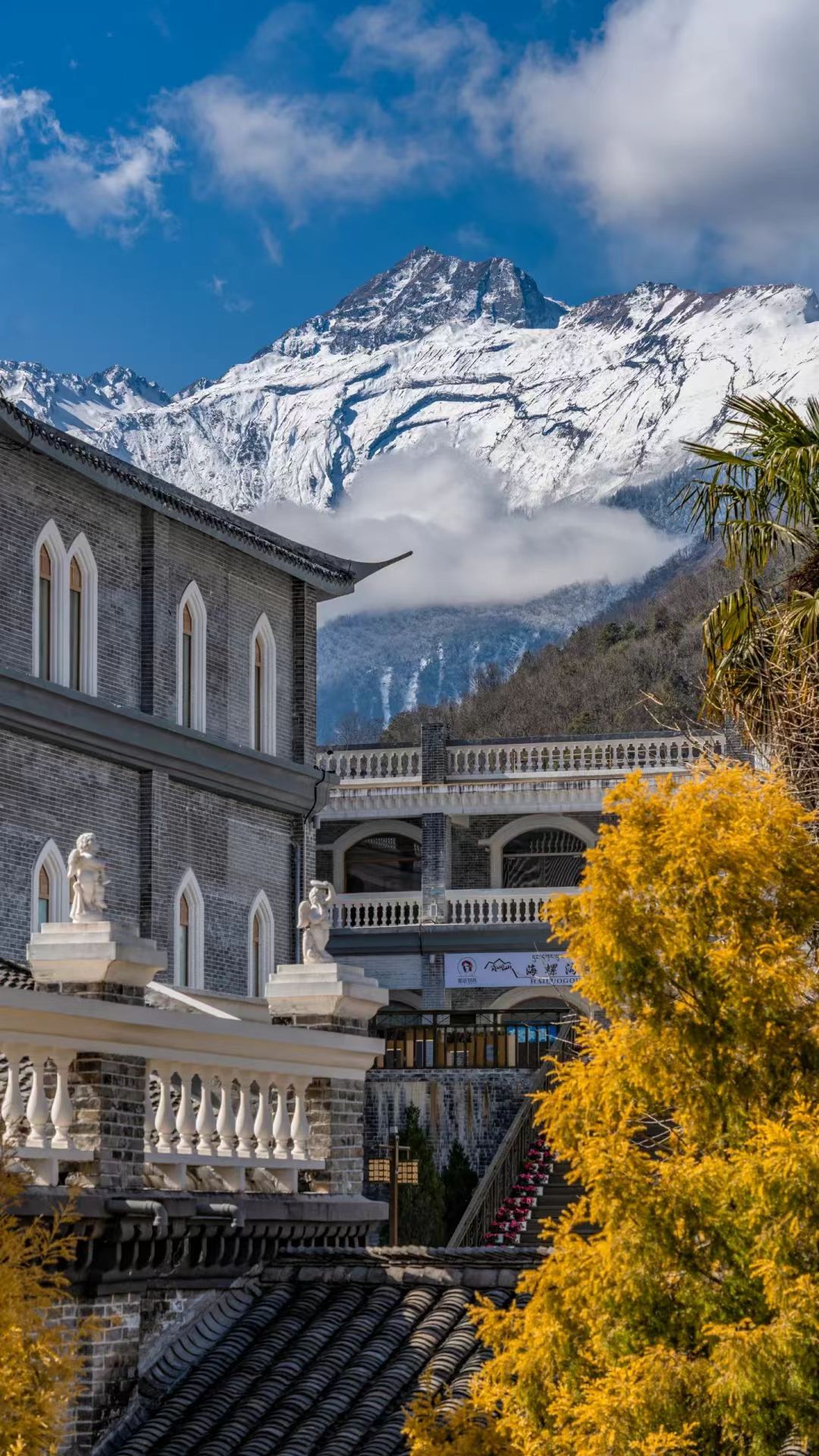 1763698424113611.jpg 09a77aa314011b3650701043bfa8d19.jpg