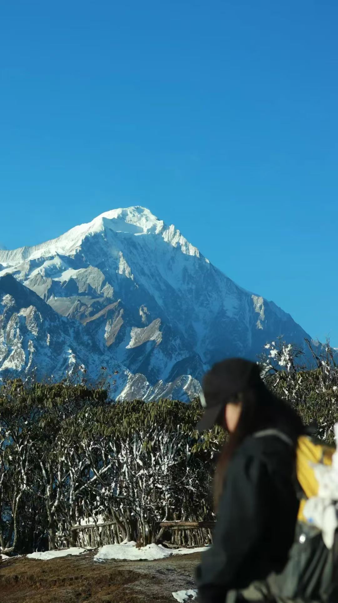 1748240997461662.jpg 88fff93720300c181a70469952549d2.jpg