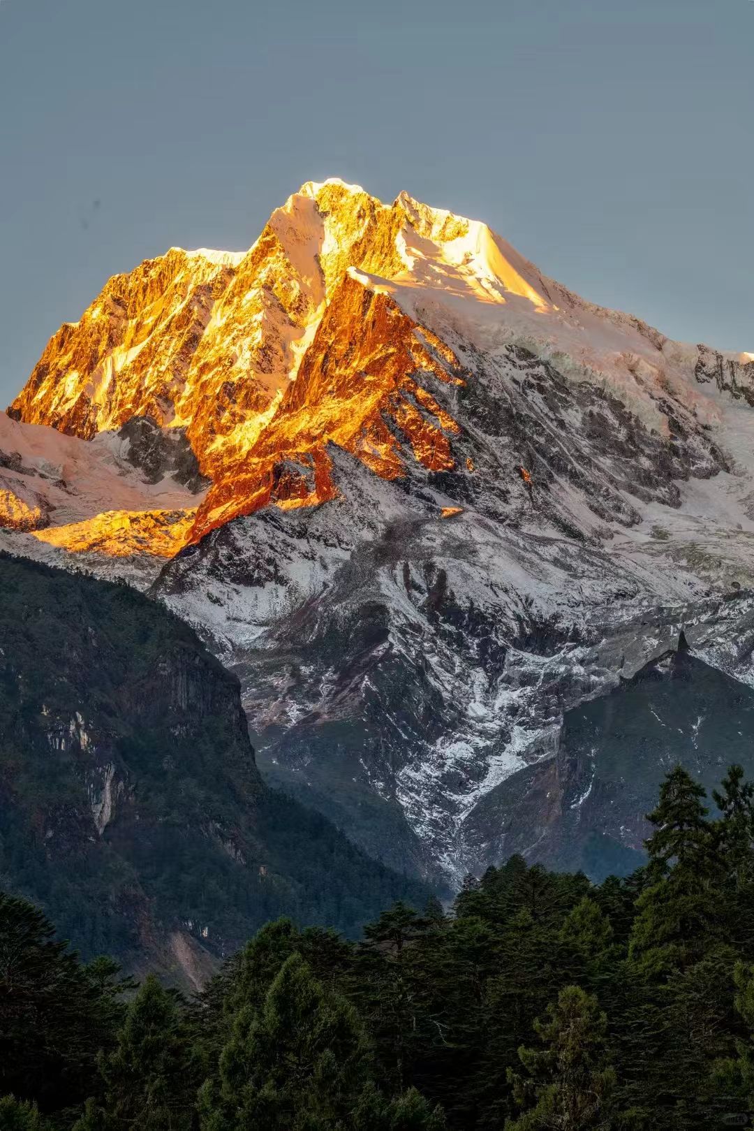 1748241048427661.jpg 883a37db031516eea6e8ae7299758d6.jpg