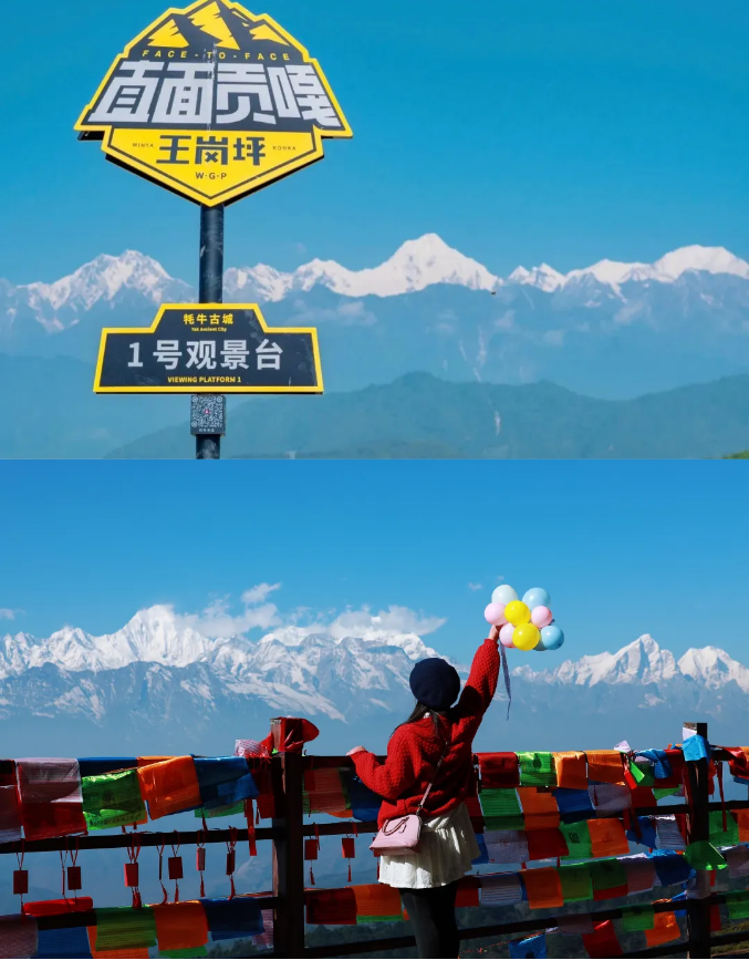 1763949901411203.png edc929e5de4d3109f22945161031733.png