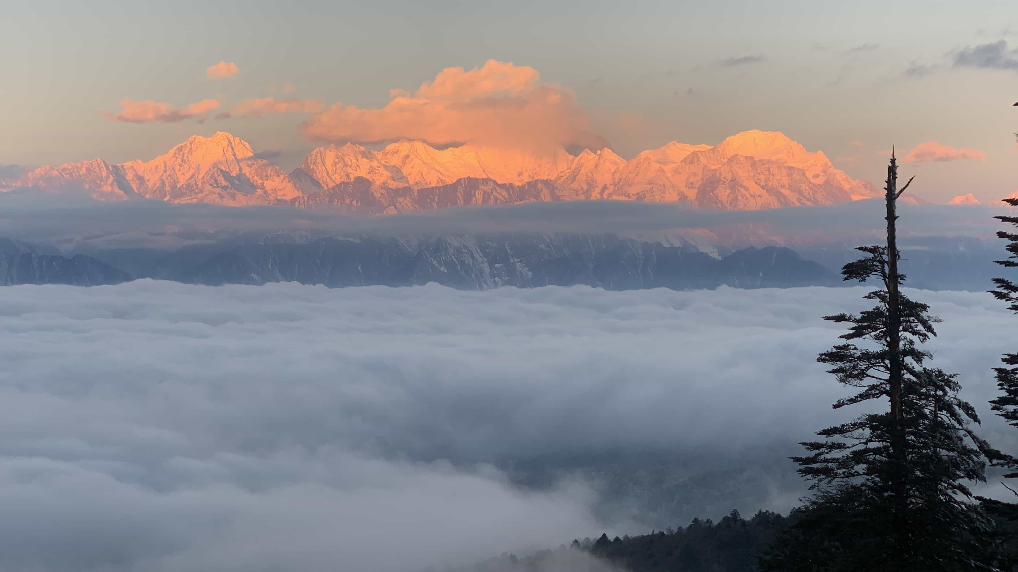 1763951311730598.jpg 1640745727325627.jpg