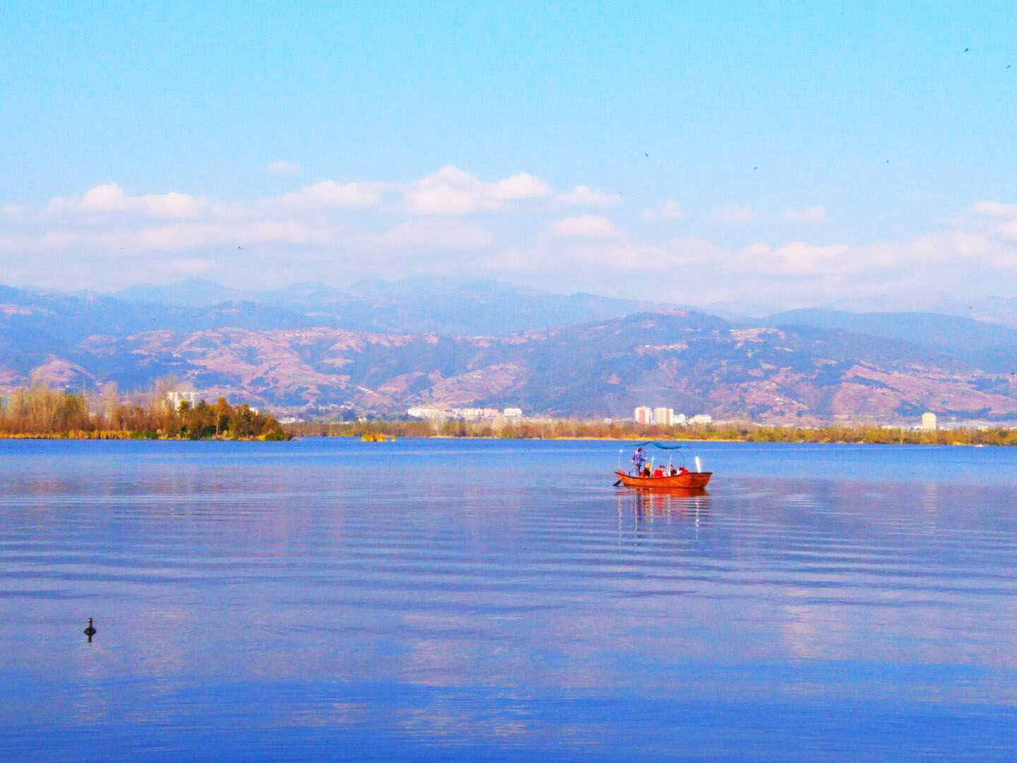 1606803901303742.jpg hah.jpg