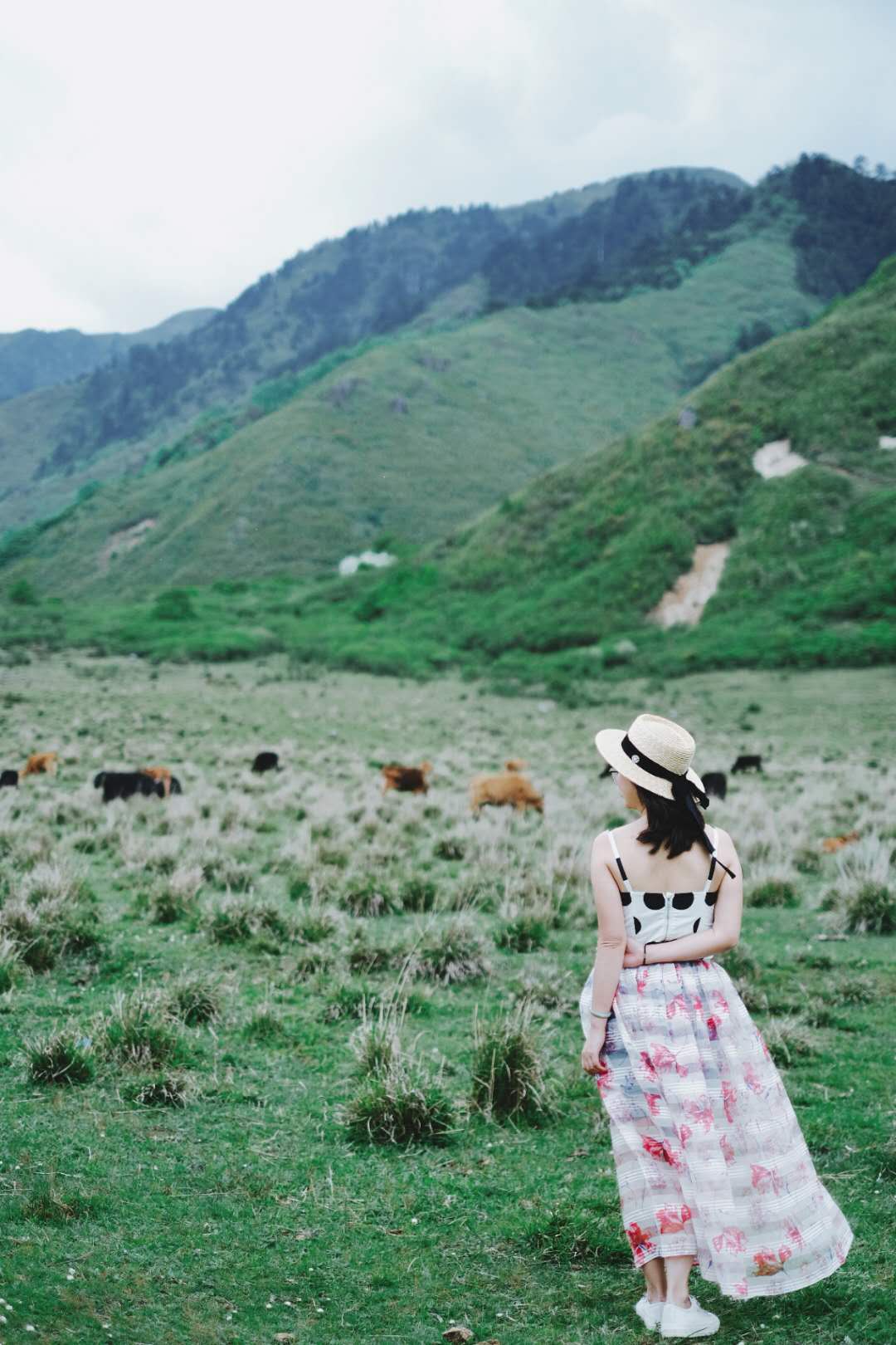 1590985449871485.jpg 1c689a479ff04d5ce796bf3cc0042b2.jpg