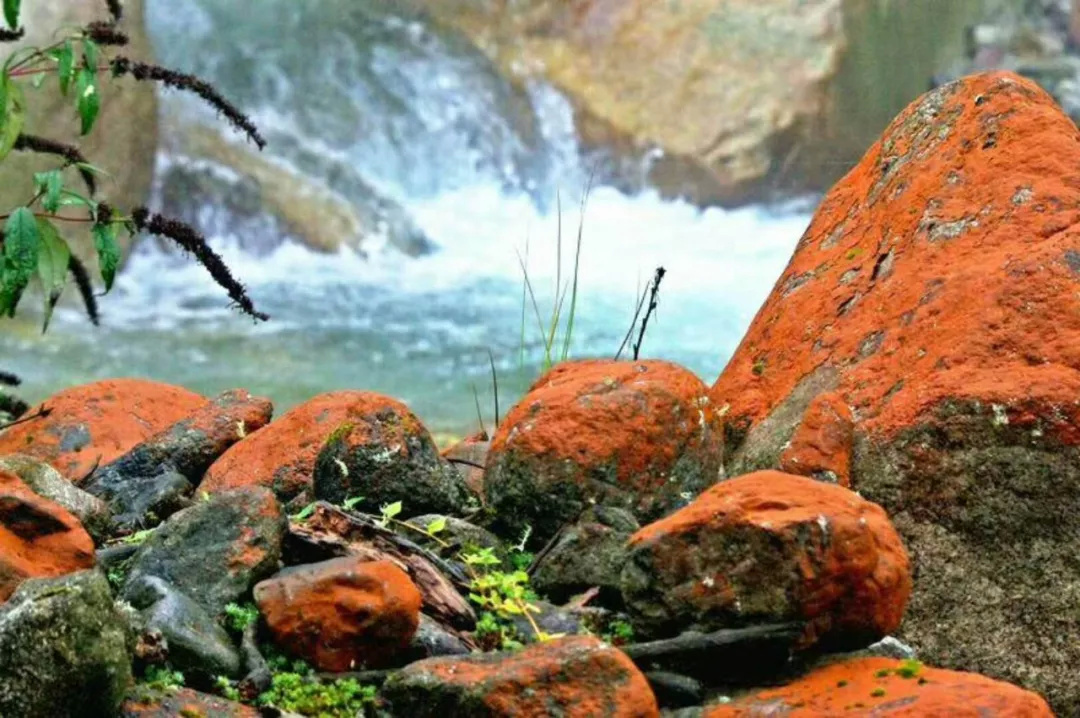 1589780516517132.jpg 1589780172188423.jpg