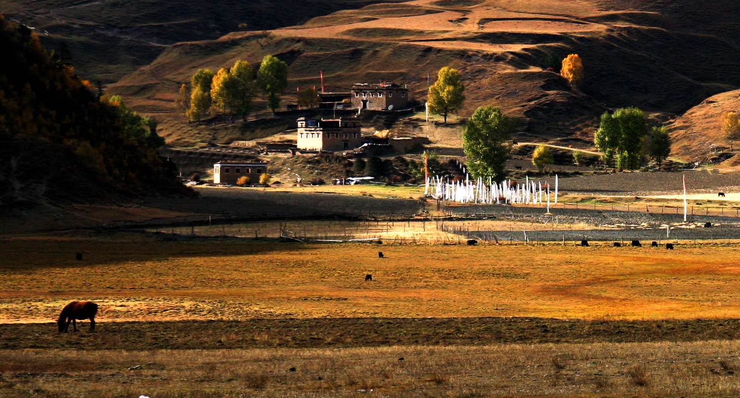 1605080116702147.jpeg wKgBEFsMyEWAN1E-AAMTdowZ4bc88.jpeg