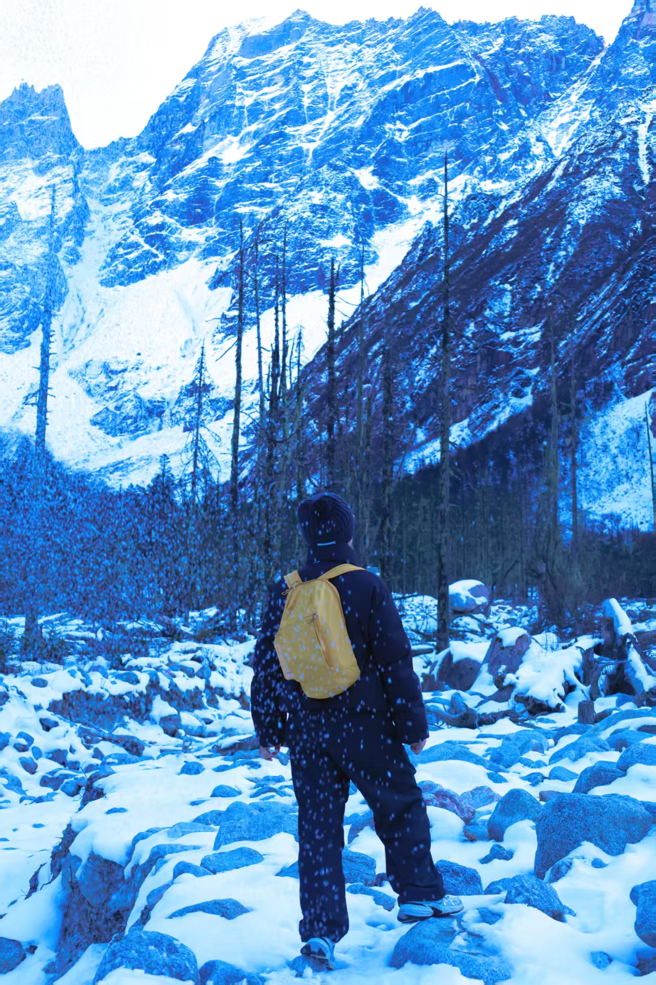 1764838984617634.jpg c5d23b1dc634033060f528d4e0dd576.jpg