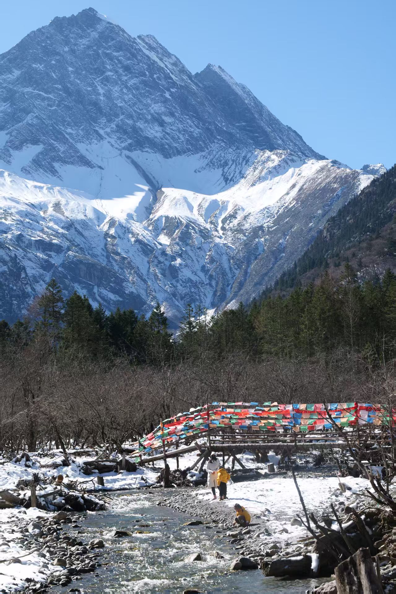 1764839826732977.jpg ce4daa28ae2d36df7bb37fc53f56ce5.jpg