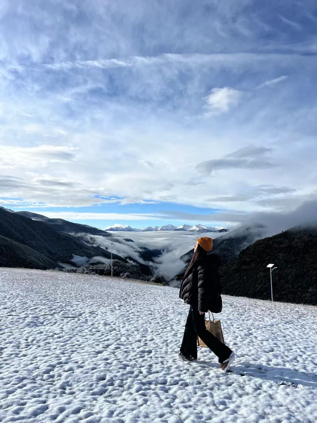 1764841503735719.jpg 3ad5b5a61d528e0e103b9bff9601ce1.jpg