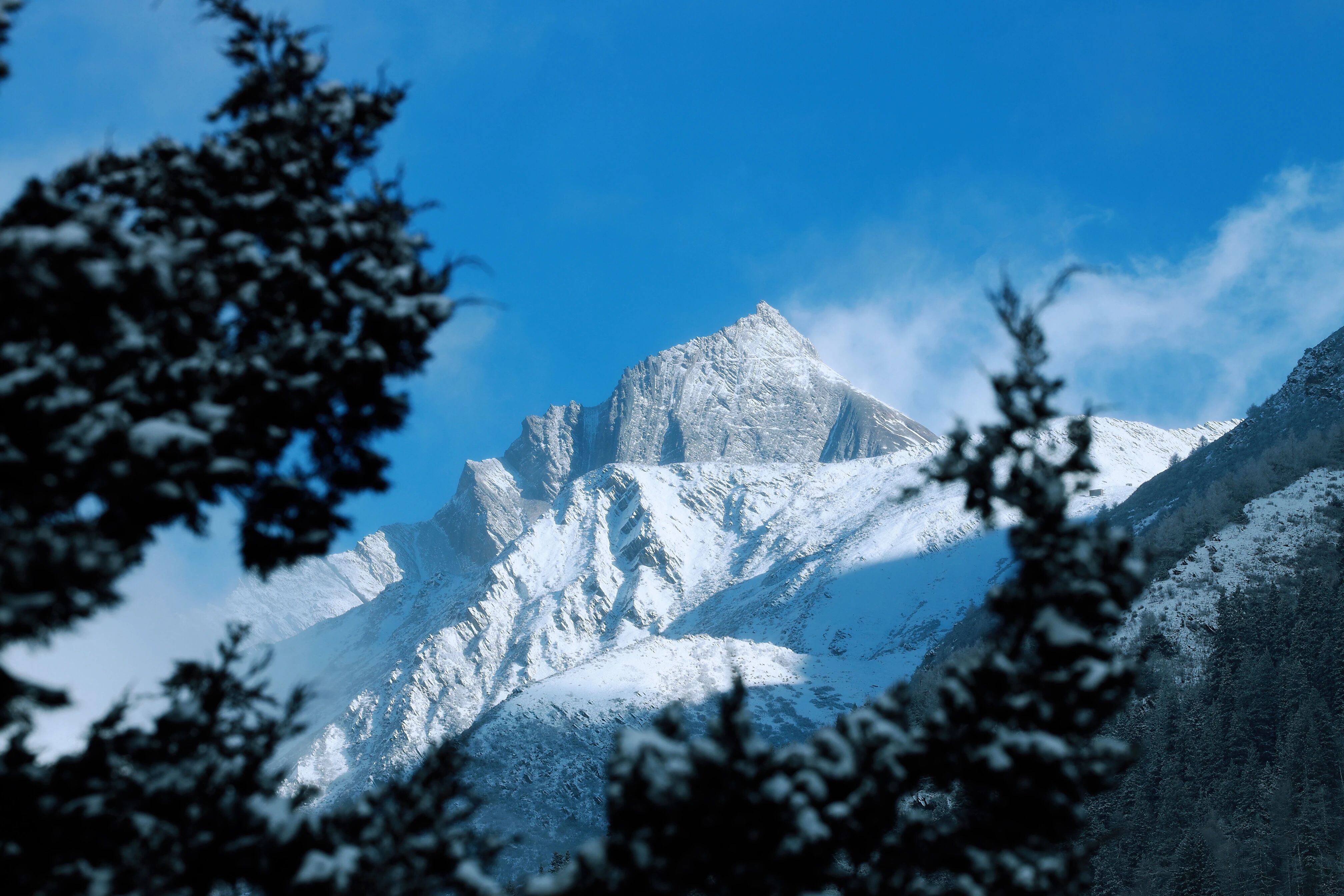 1764899973284635.jpg e01cc1712f593a8c9d90ec88765b17f.jpg