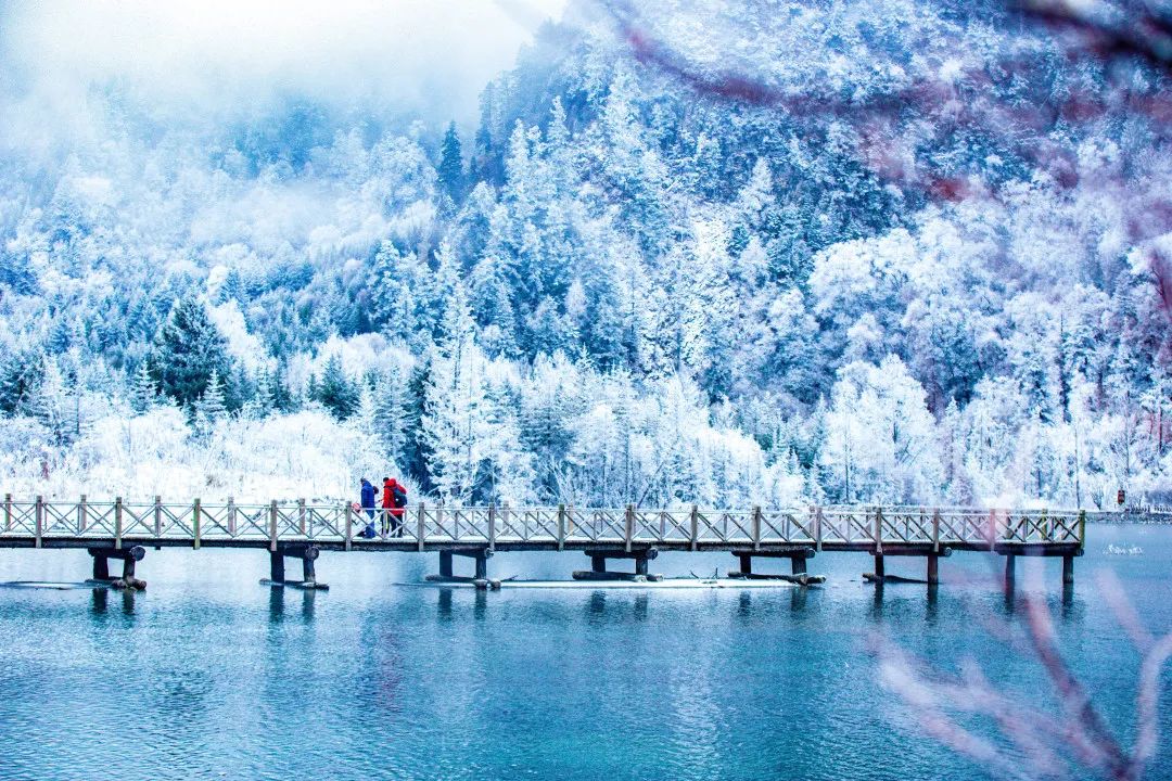 1707118972684979.jpg 微信图片_20240205150754.jpg