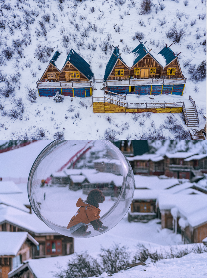 1707119405125988.png 65be2f1f0878802a376b2eb1e699dfe.png