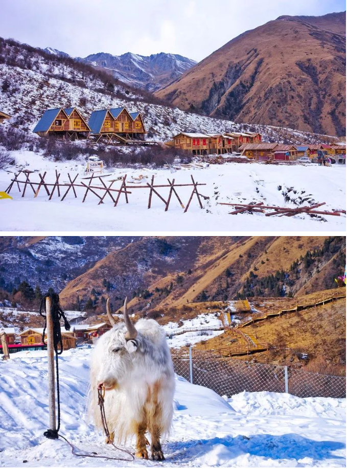 1707119346234972.png 97a17fd0d8633b9cf08560923ba0344.png