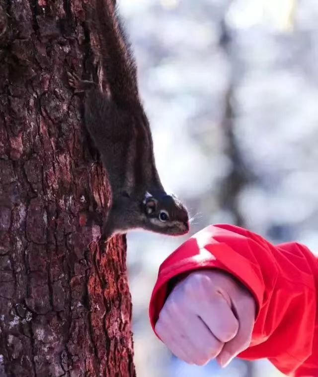 1764922591577614.jpg 20cbf6eaf44f8fdbcb2c3f017ce7d4a.jpg