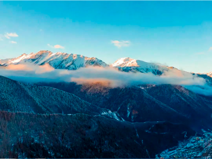 1701075968416700.png image.png