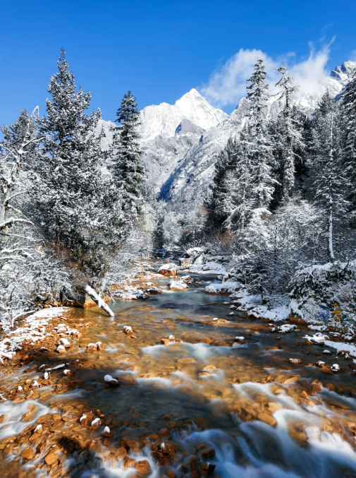 1701076096524704.png image.png