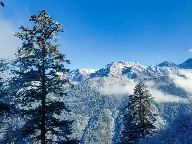 1701076140710119.png image.png