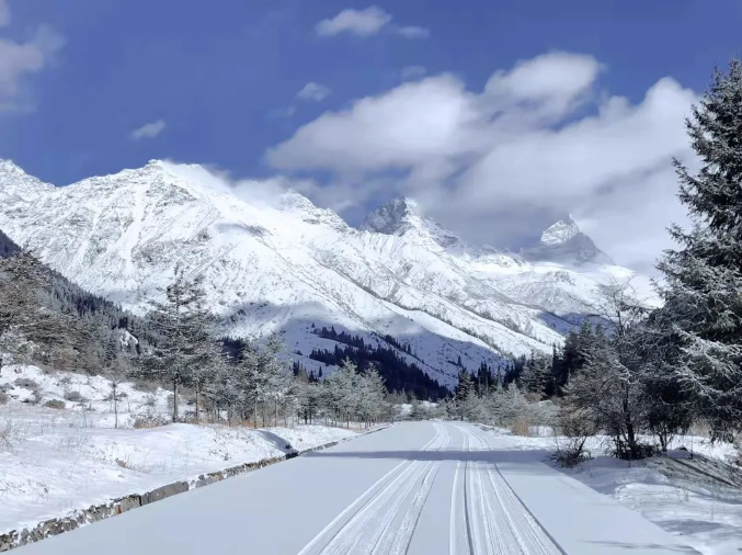 1701076246783929.png image.png