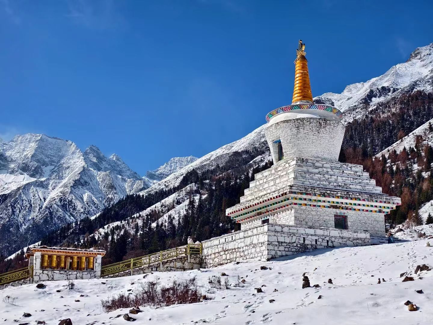 1765000370290465.jpg 7ee755b00ae3b046195371293638dfa.jpg