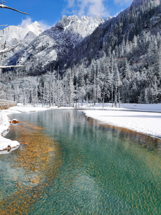 1701076274536632.png image.png