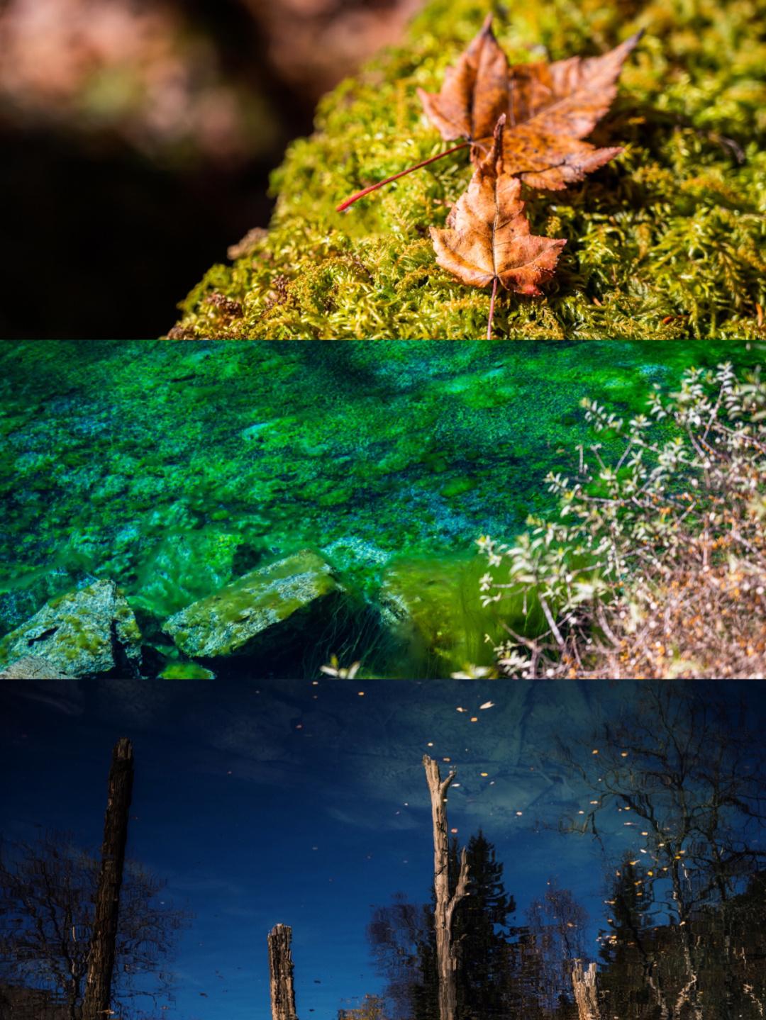 1701223195944948.jpeg c83d70cf3bc79f3d51f79b91562a2f1d738b2991.jpeg