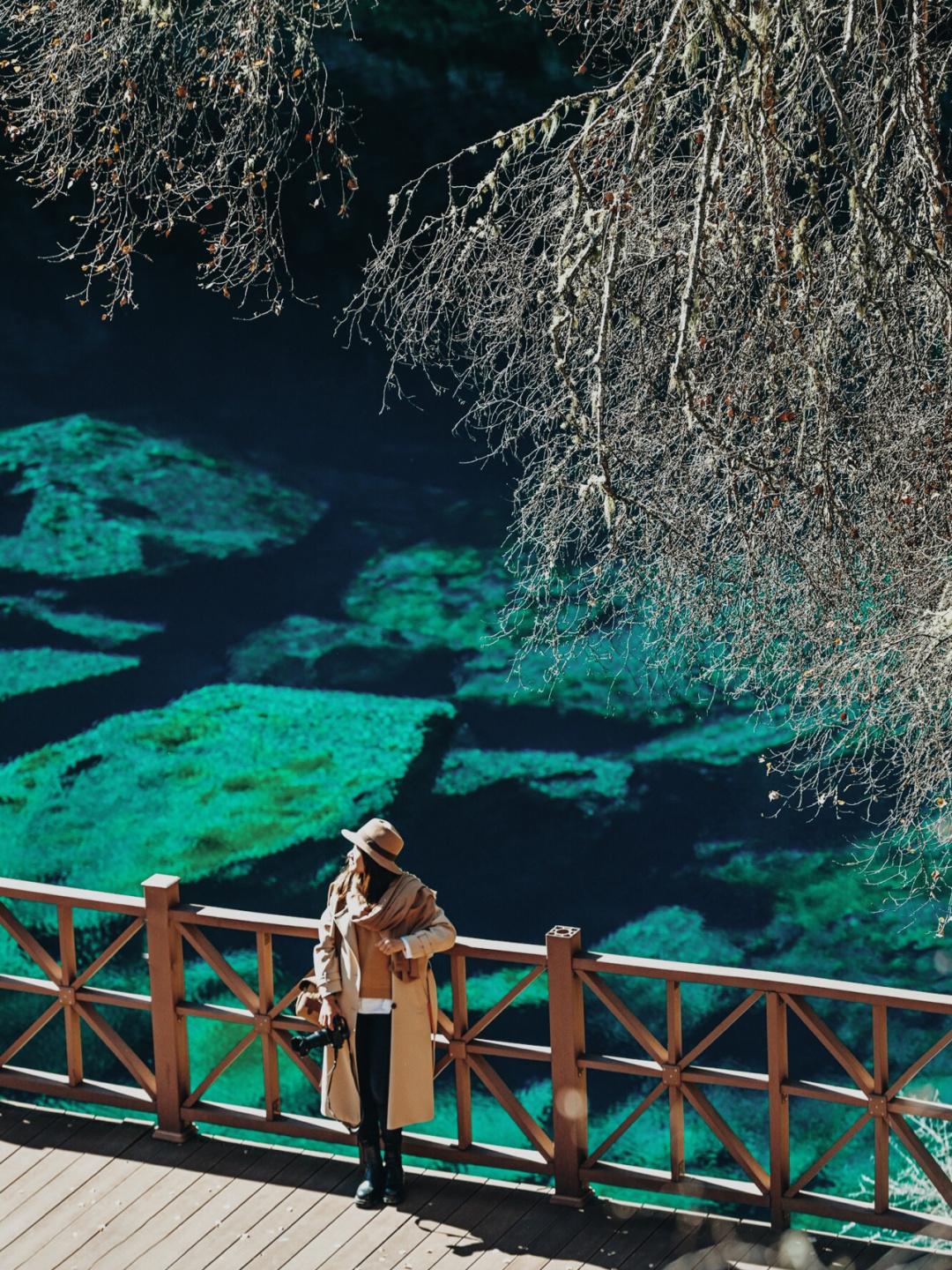 1701222884658074.jpeg f603918fa0ec08fa9e7fb792b765df6155fbda25.jpeg