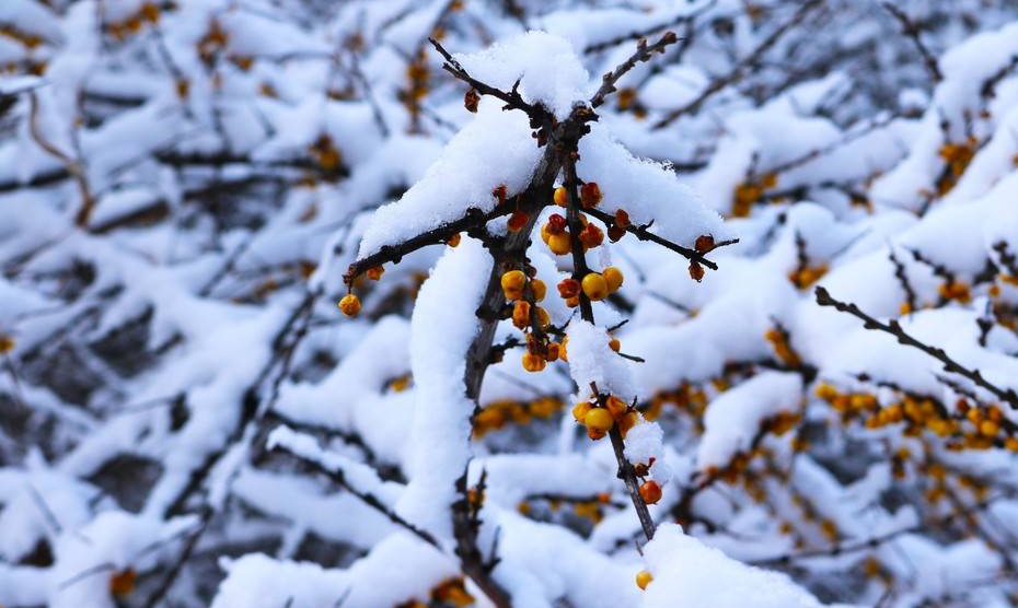 1702012911467260.png 640 (6).png