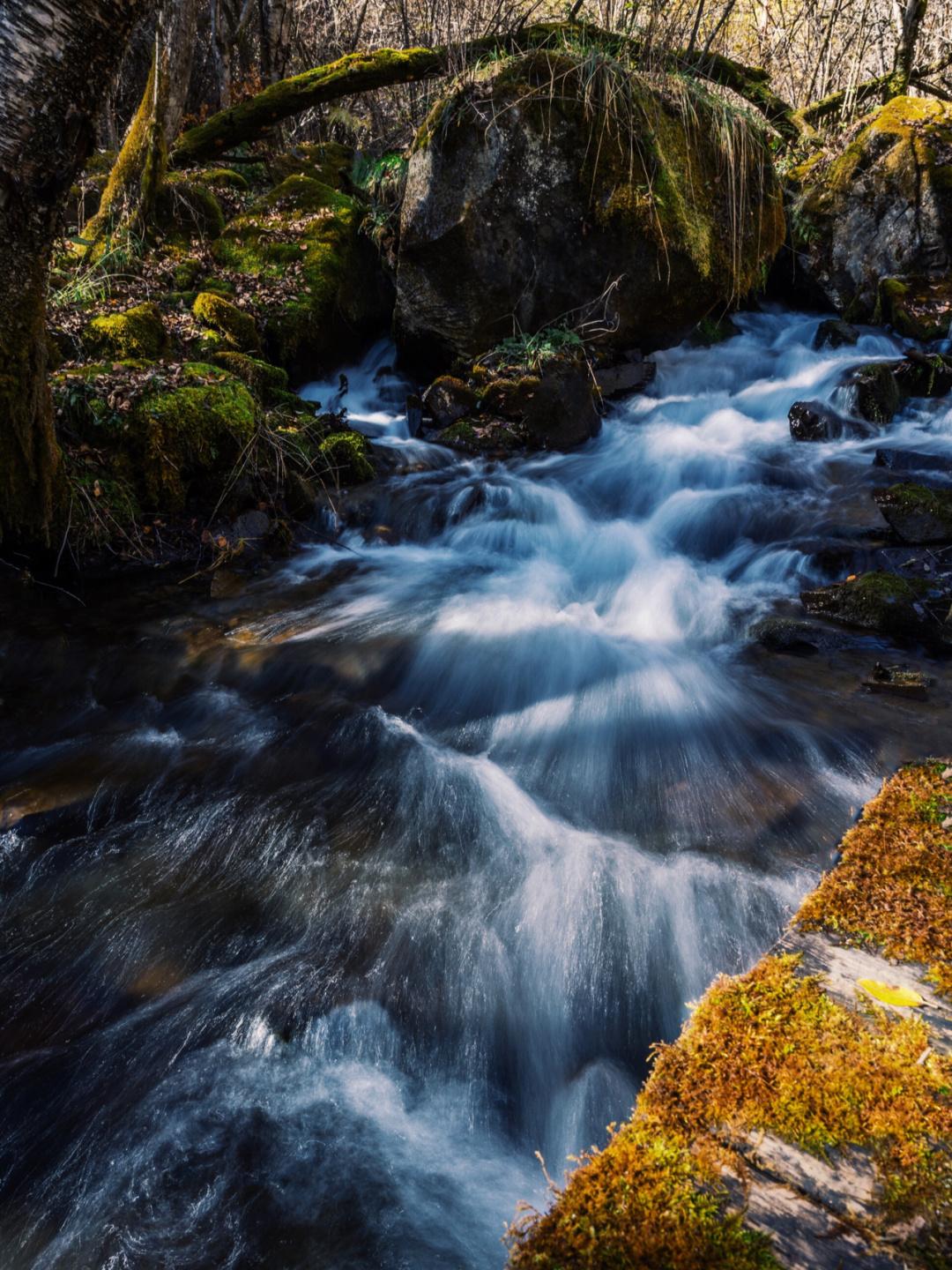 1701222899772806.jpeg 35a85edf8db1cb13a64aeb4c31dfb44293584be3.jpeg