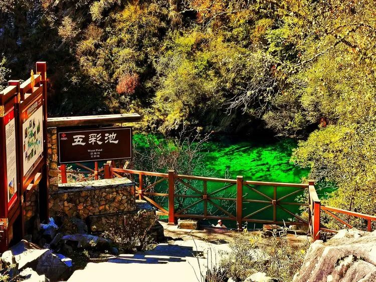 1702013033457656.jpg 640 (6).jpg