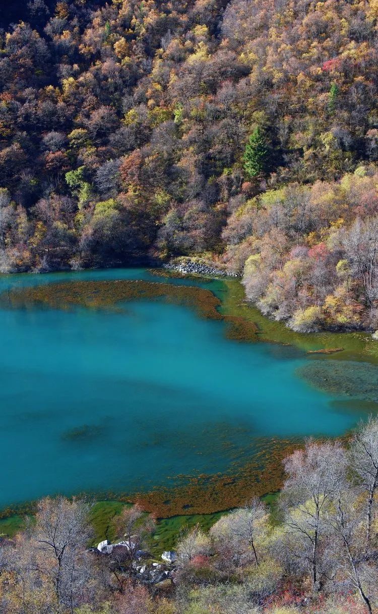 1702013068388499.jpg 640 (8).jpg