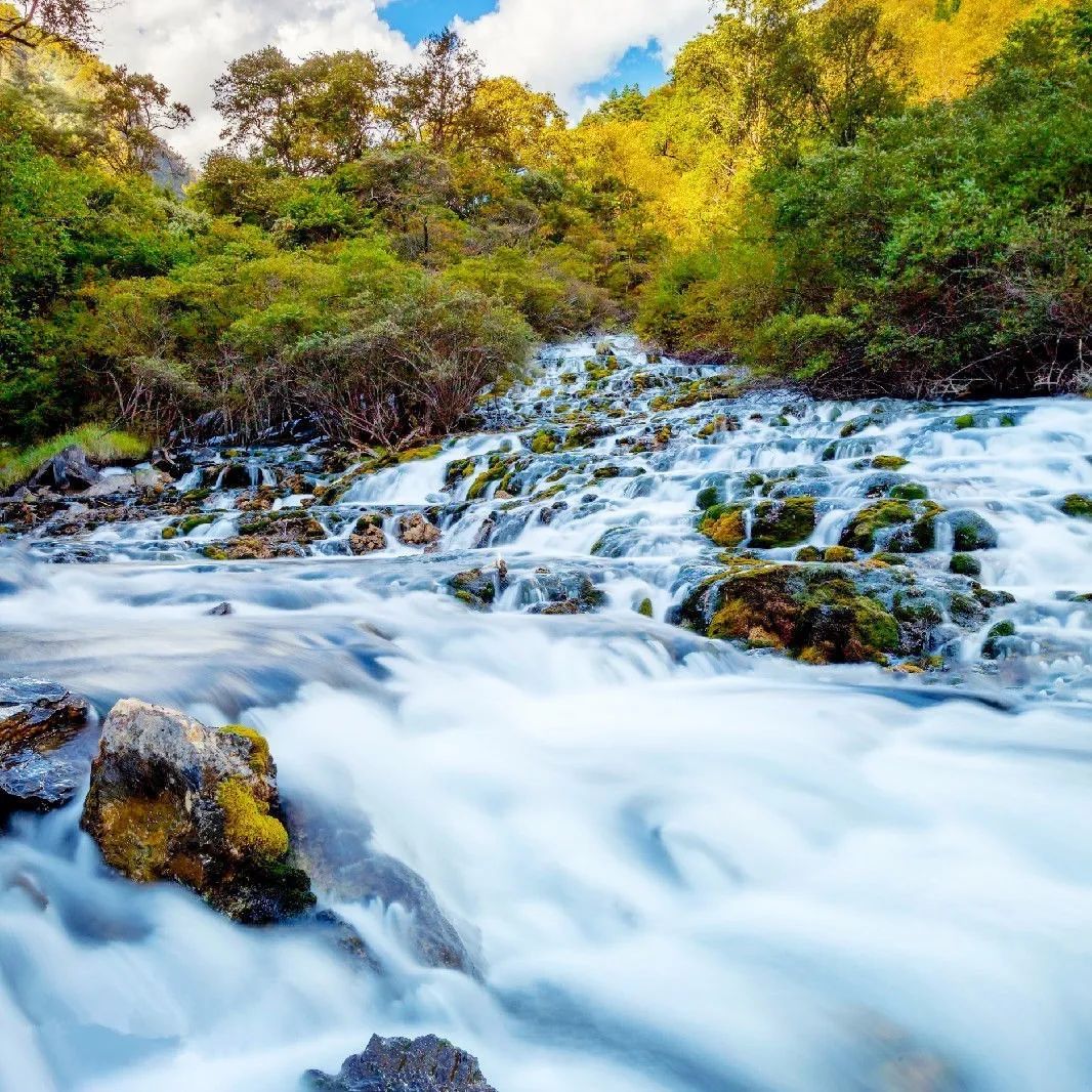 1702013112646618.jpg 640 (11).jpg