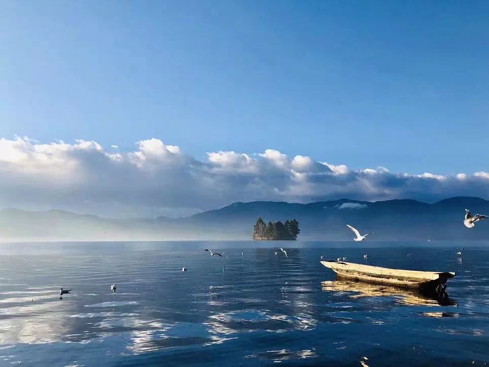 1552369540628643.jpg 10.jpg