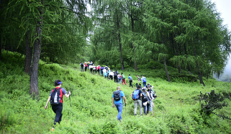 453f2bf457c9e484b1826ad1689b8fe_副本.jpg
