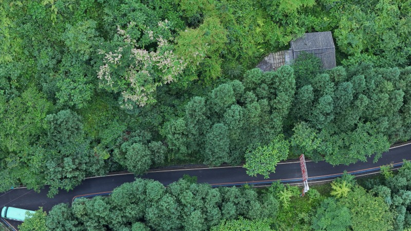 1719389516121457.jpg DJI_20240620110953_0685_D.JPG
