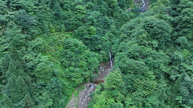 1719389547467023.jpg DJI_20240620111200_0699_D.JPG