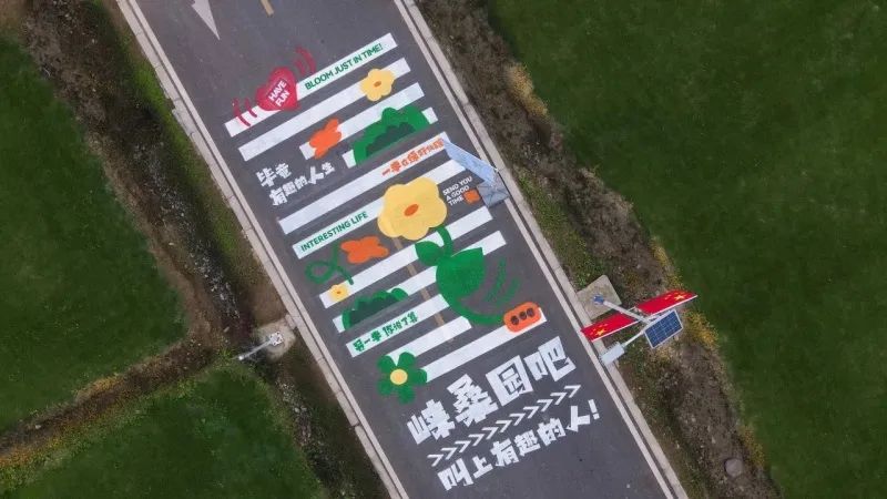 1733989597653007.jpg 图片